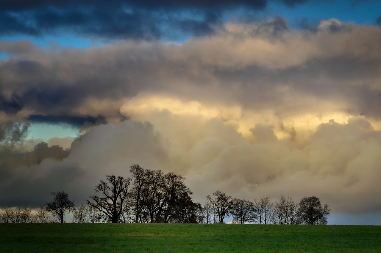 clouds  abendstimmung  barbed wire free photo