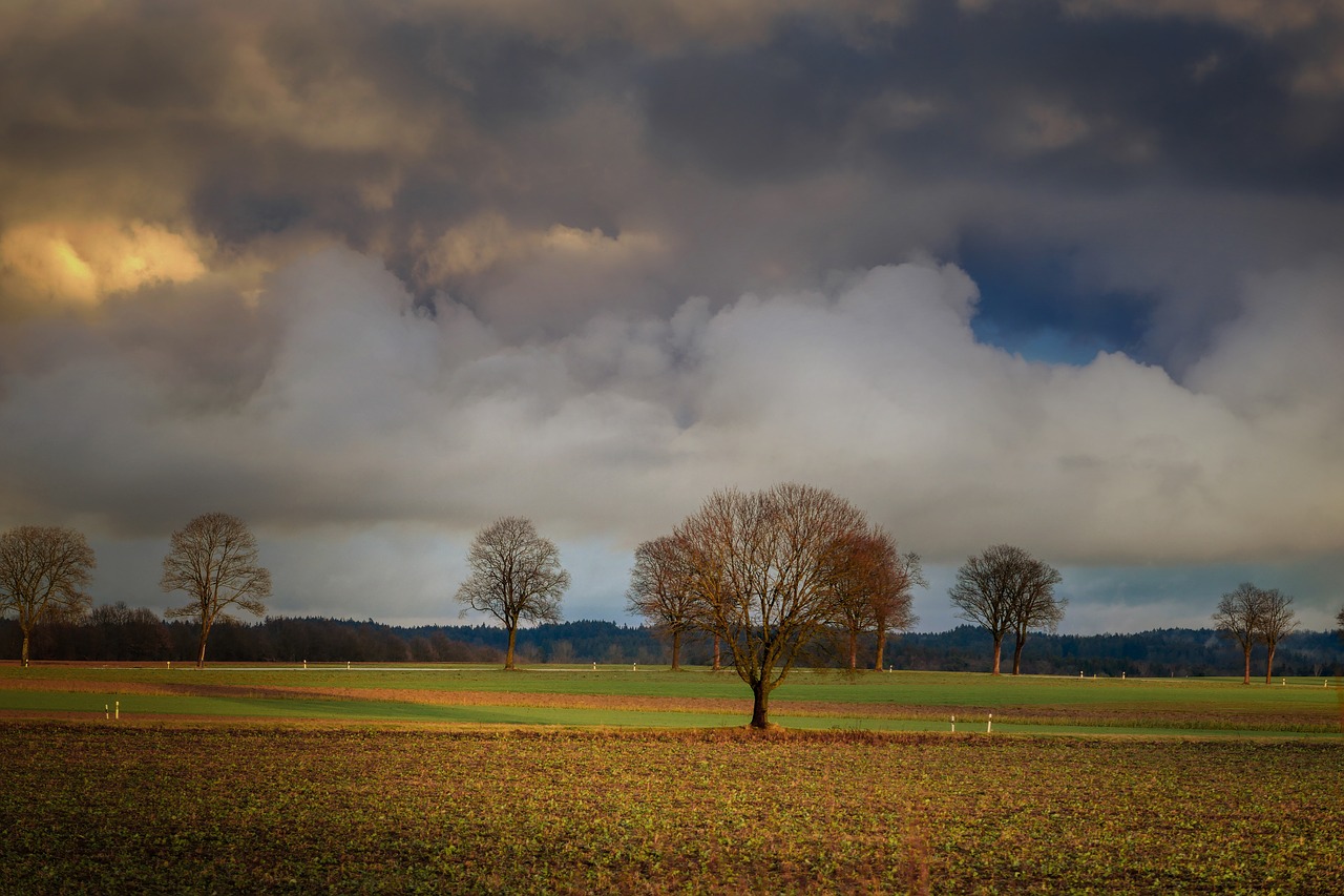 clouds  abendstimmung  barbed wire free photo