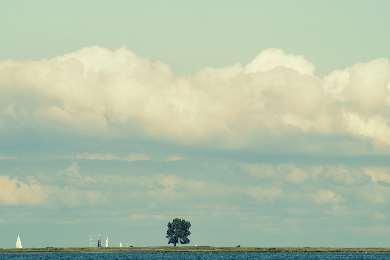 clouds  tree  sky free photo