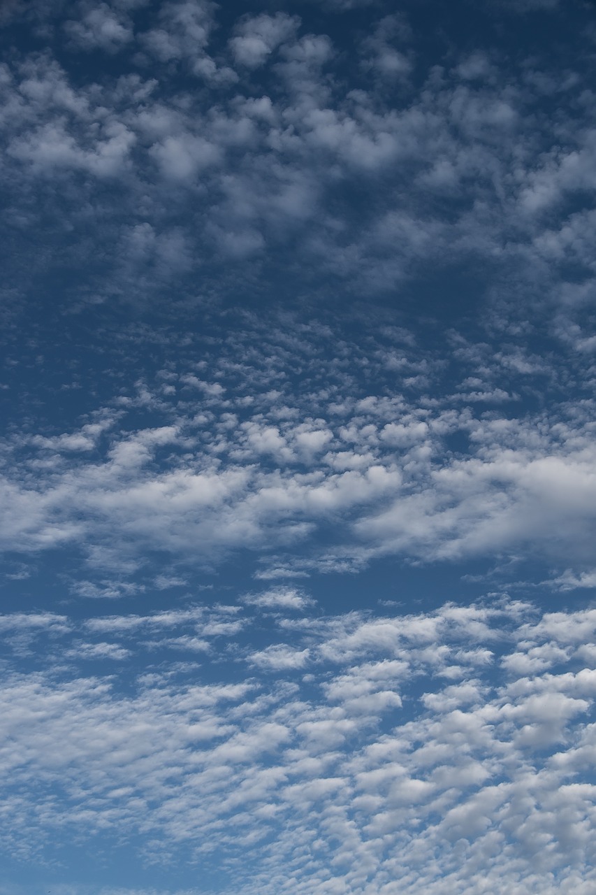 clouds  white  blue free photo