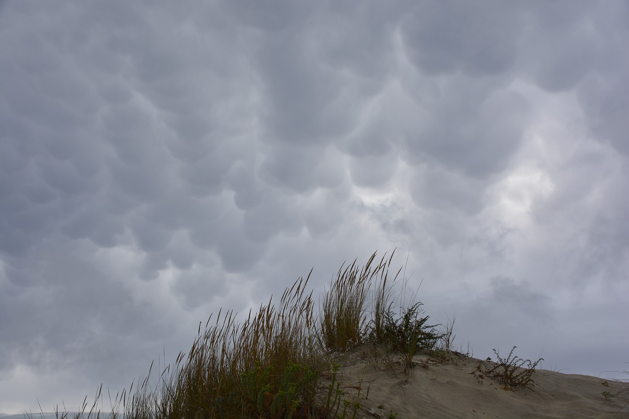 clouds  beach  sky free photo