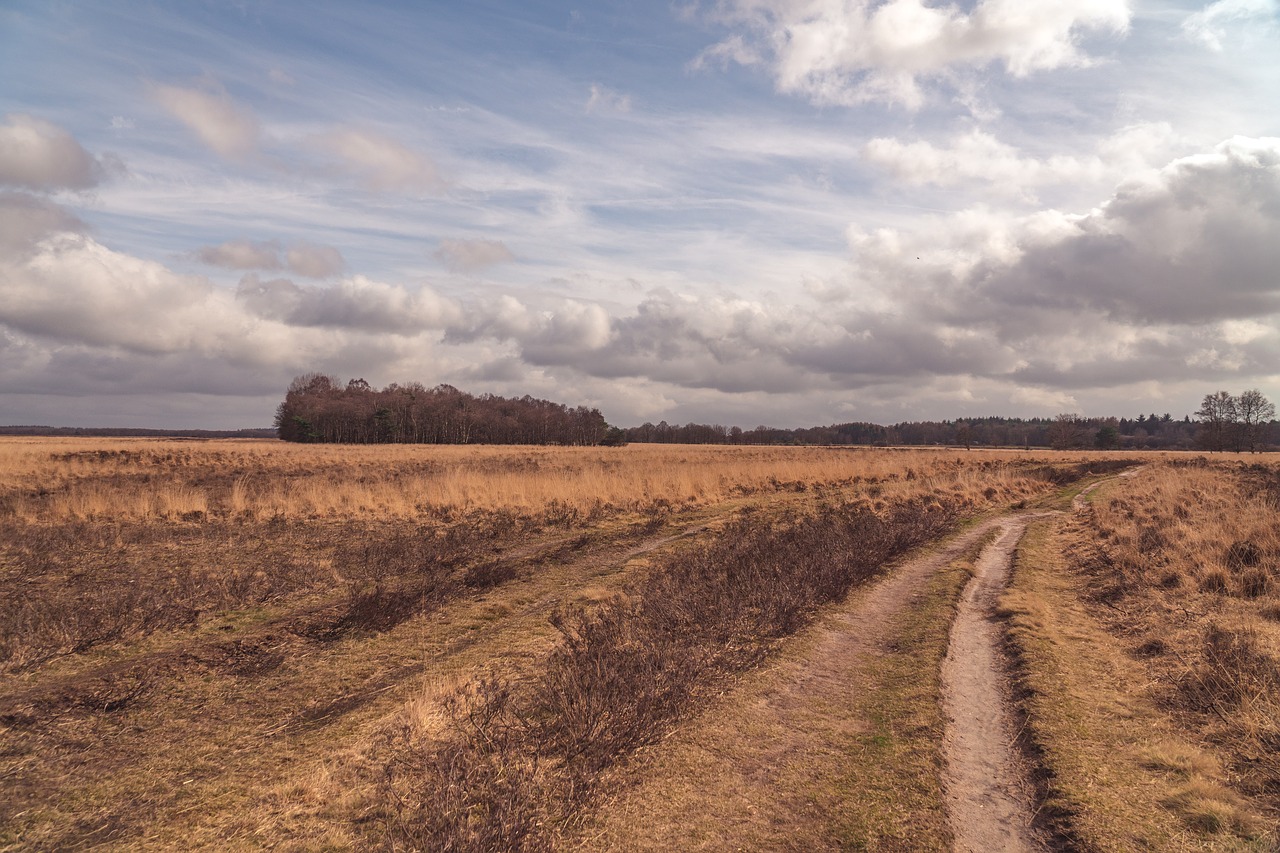 clouds  landscape  field free photo