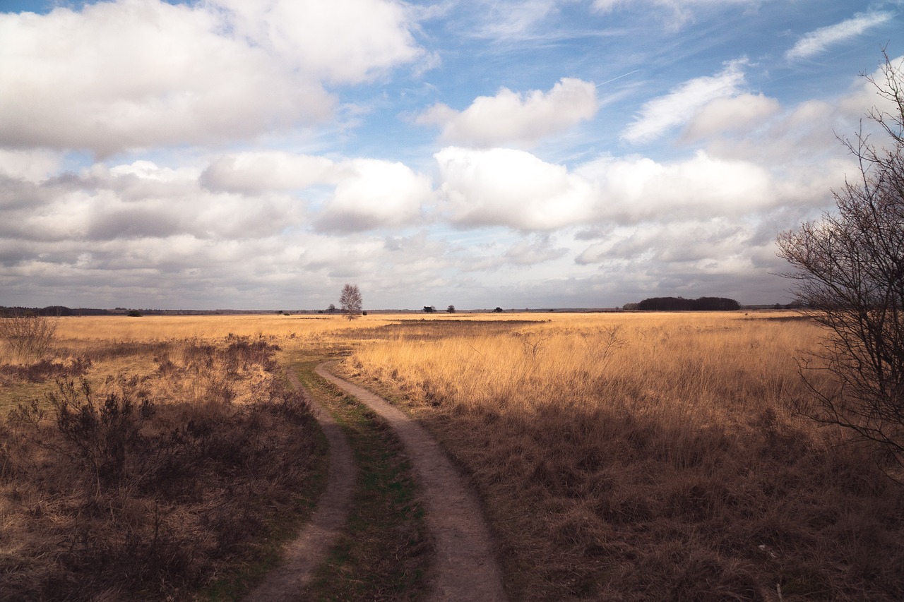 clouds  landscape  field free photo