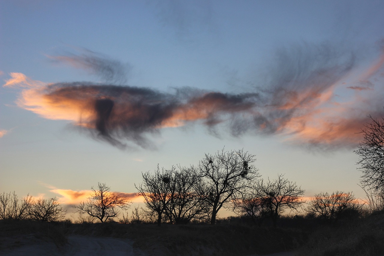 clouds  colors  trees free photo