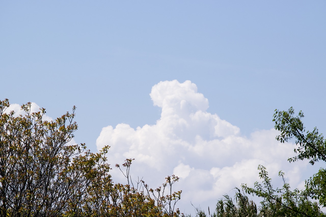 clouds  sky  sun free photo