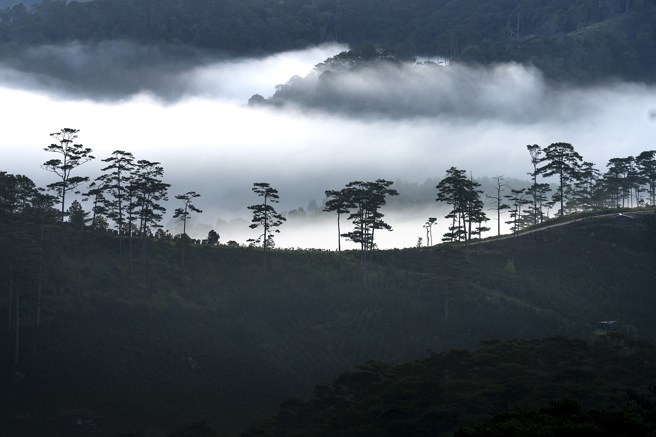 clouds  dawn  vietnam free photo