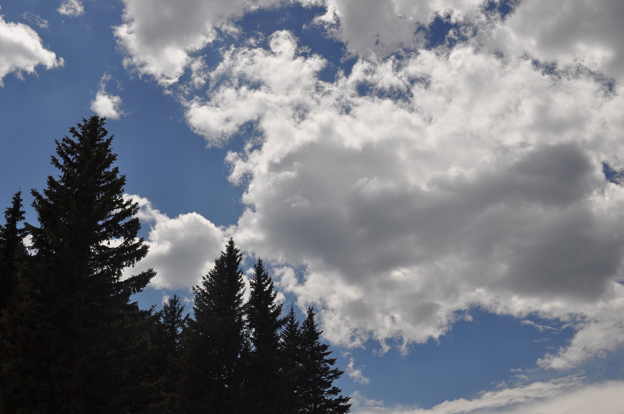 clouds trees nature free photo