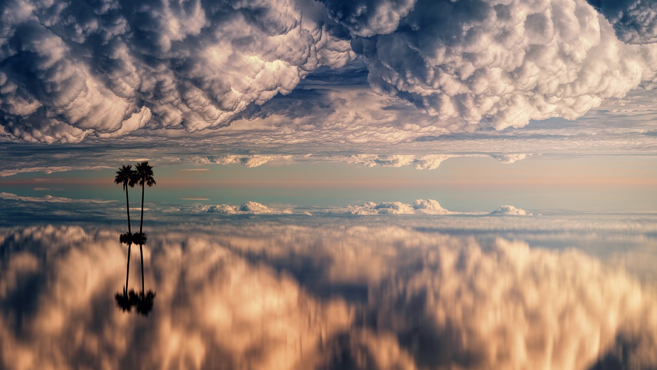 clouds  ocean  palm trees free photo