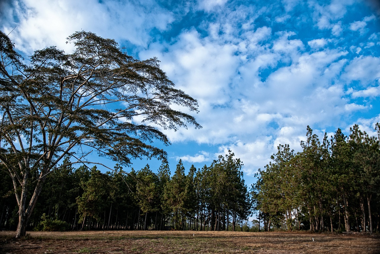 clouds outdoors landscape free photo