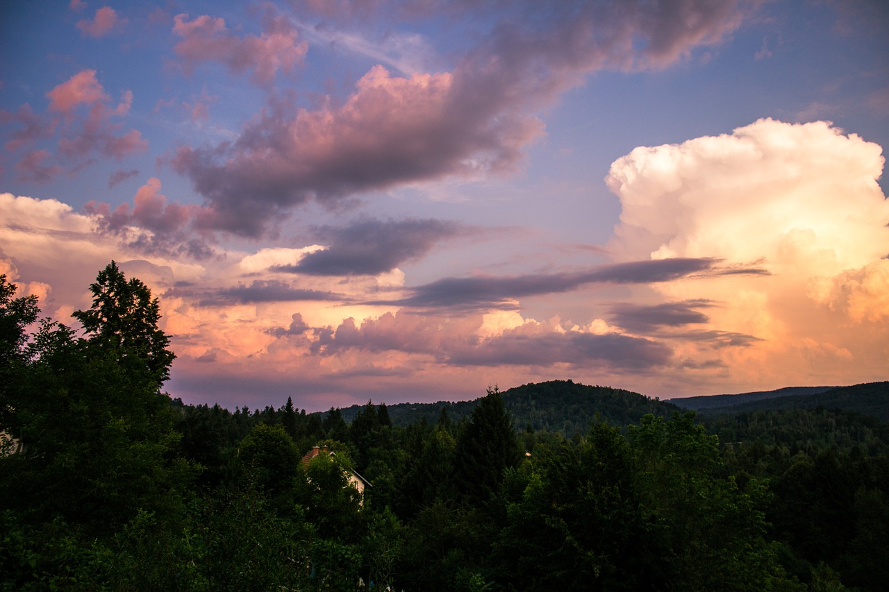 clouds impressive forest free photo