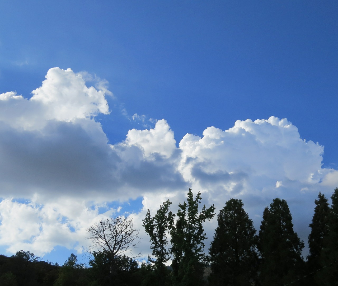 clouds storm sky free photo