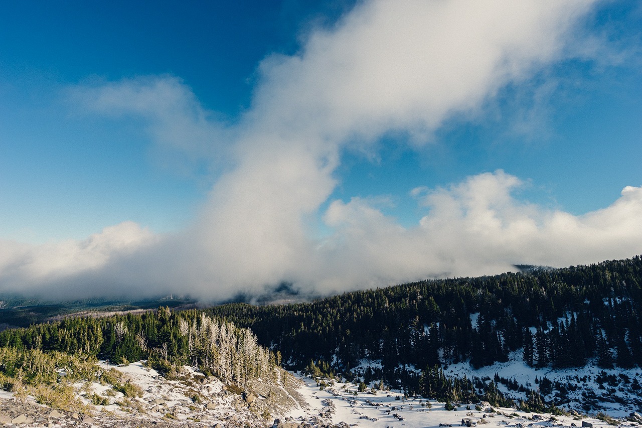 clouds fog view free photo