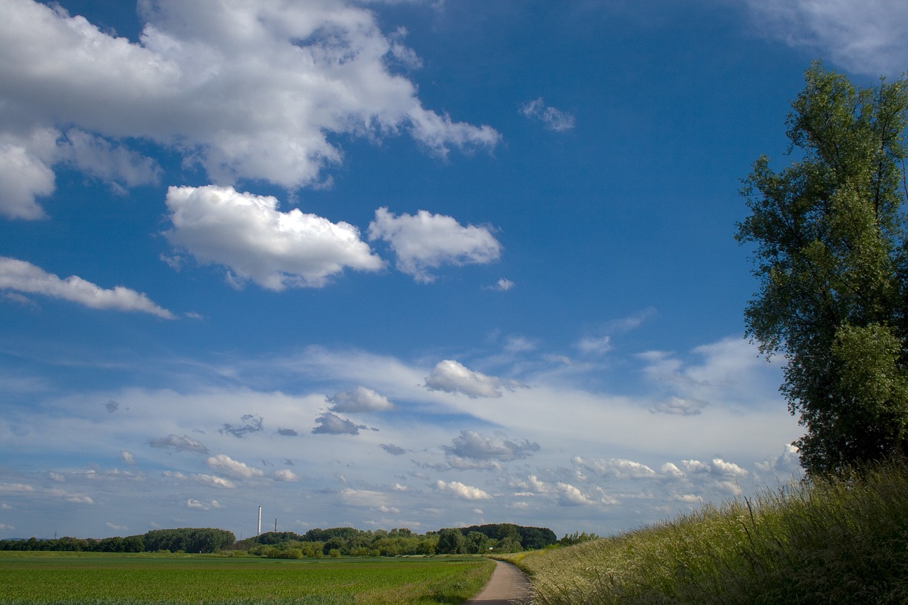 clouds meadow field free photo