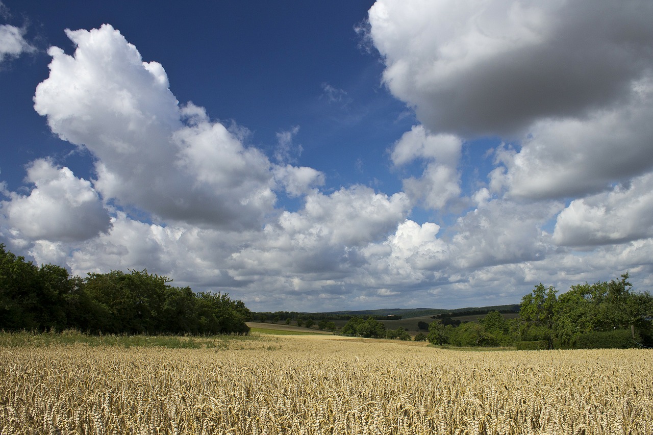 clouds sky field free photo