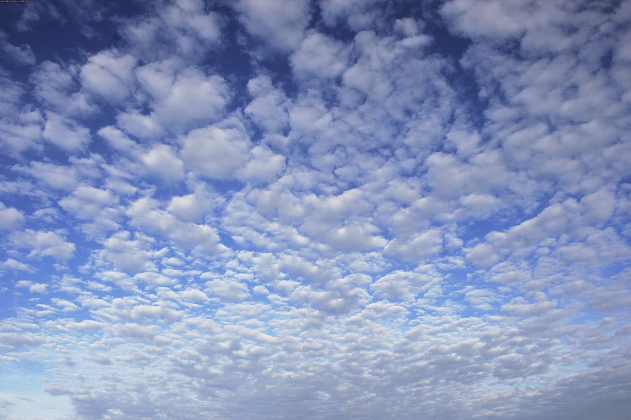 clouds sky white free photo