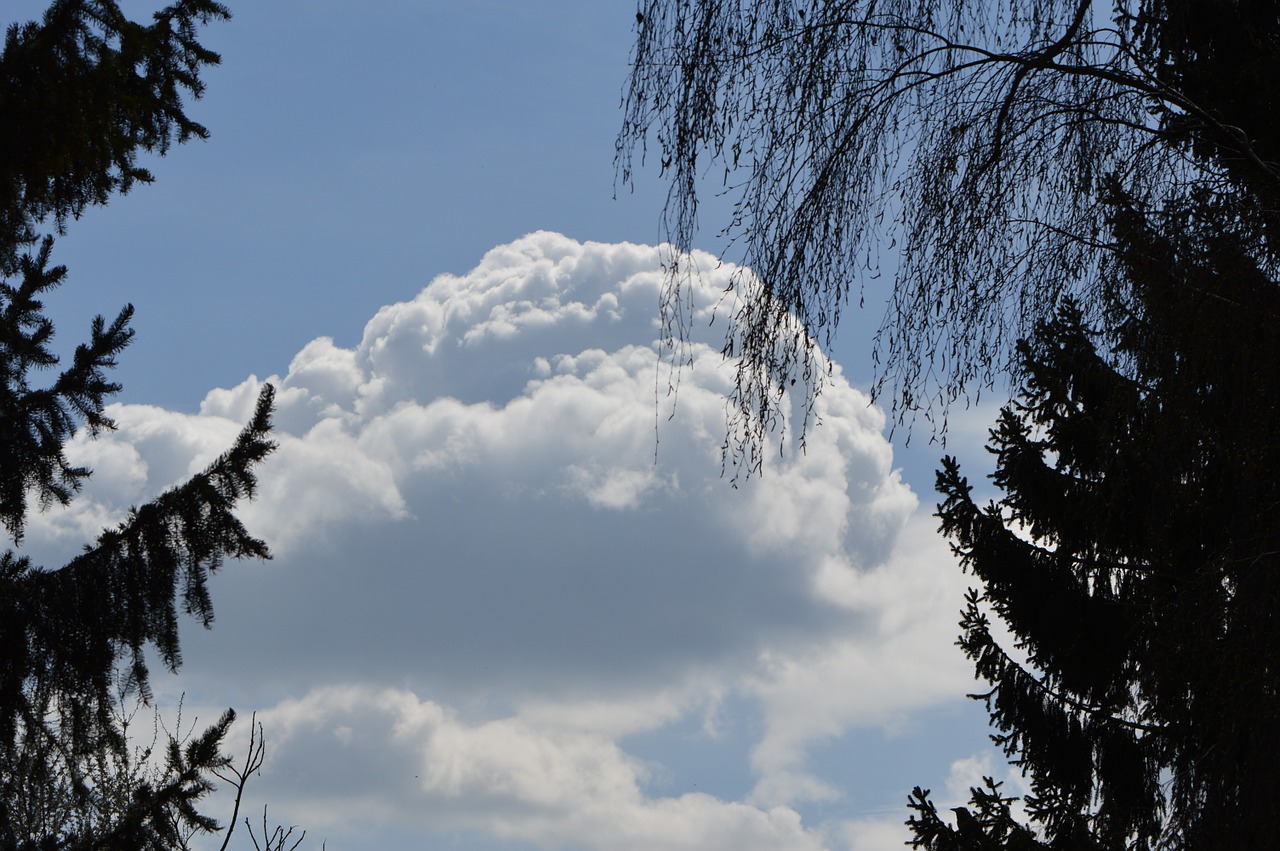 clouds blue sky trees free photo