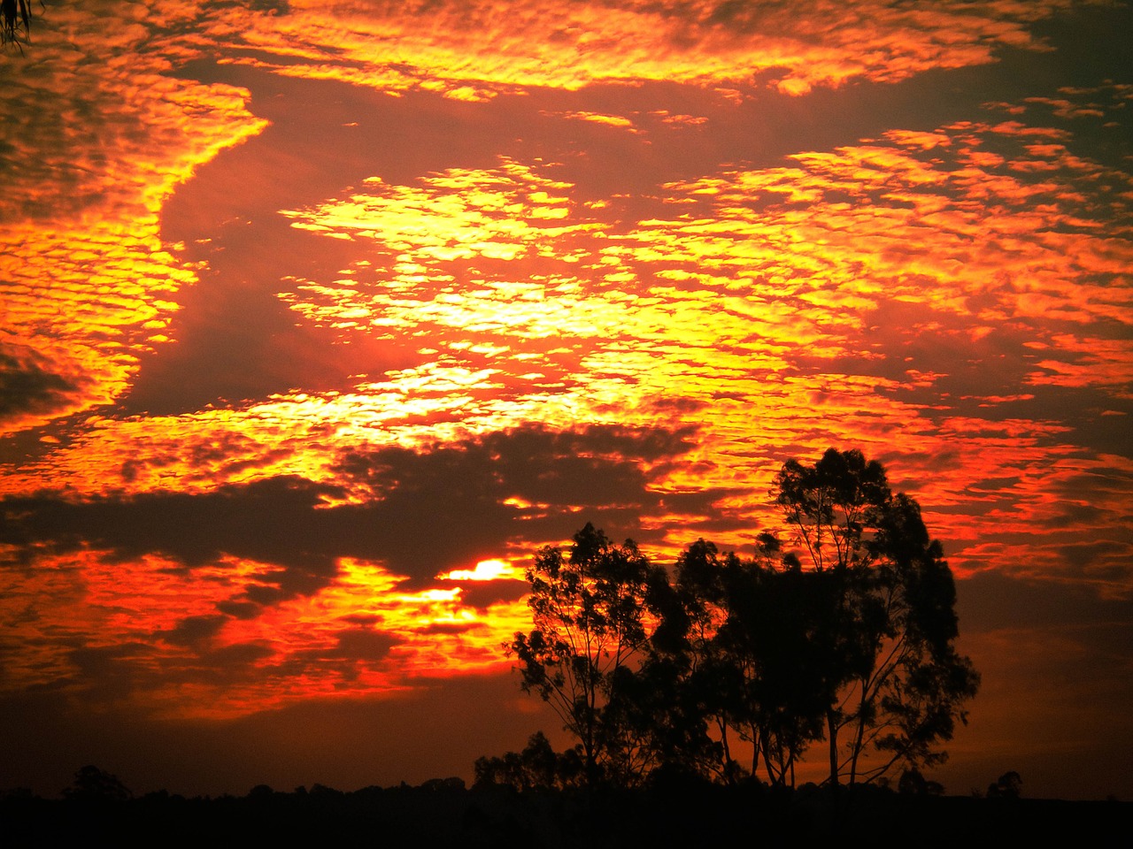 clouds sunset eventide free photo