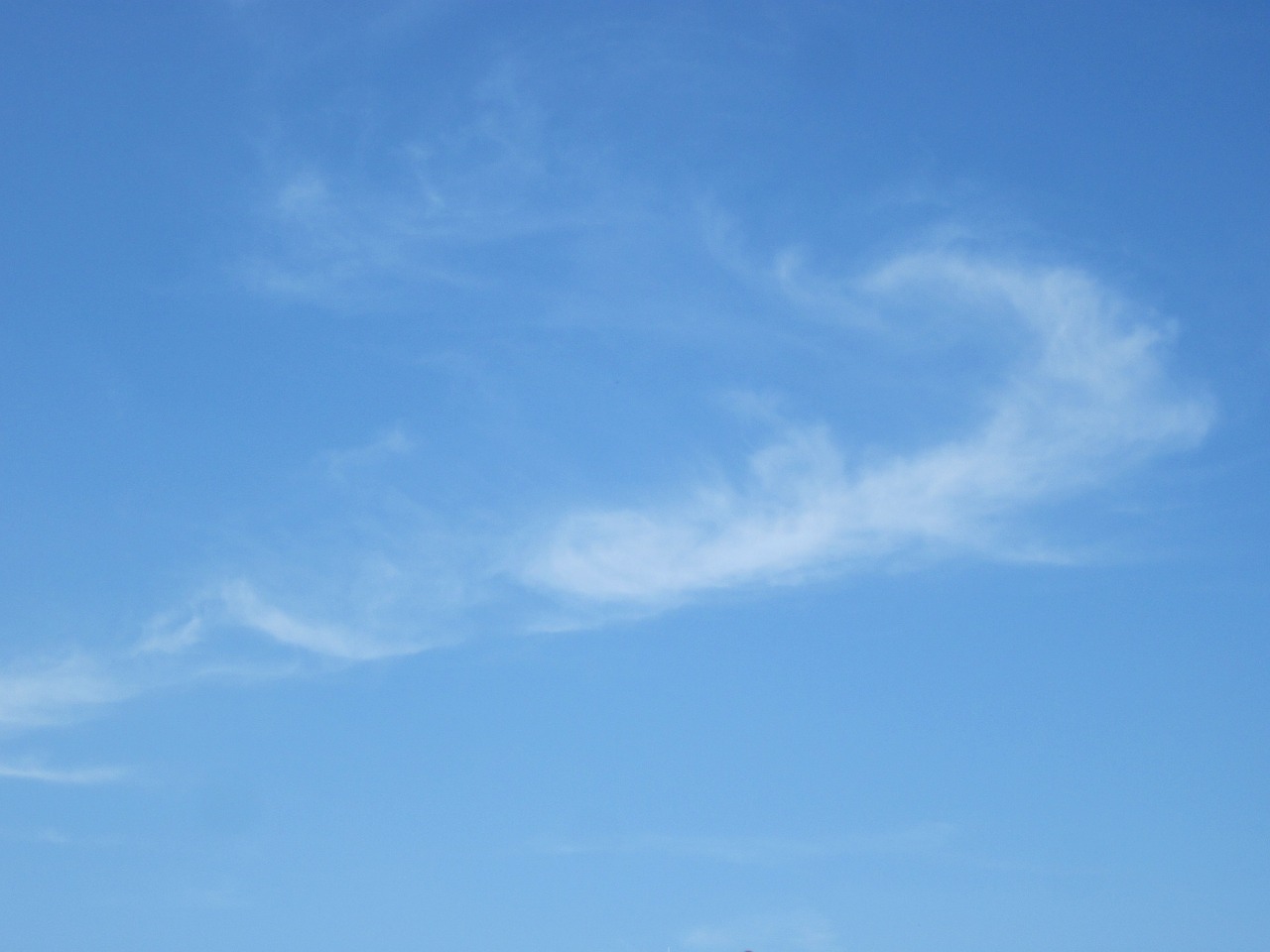 clouds sky feather free photo