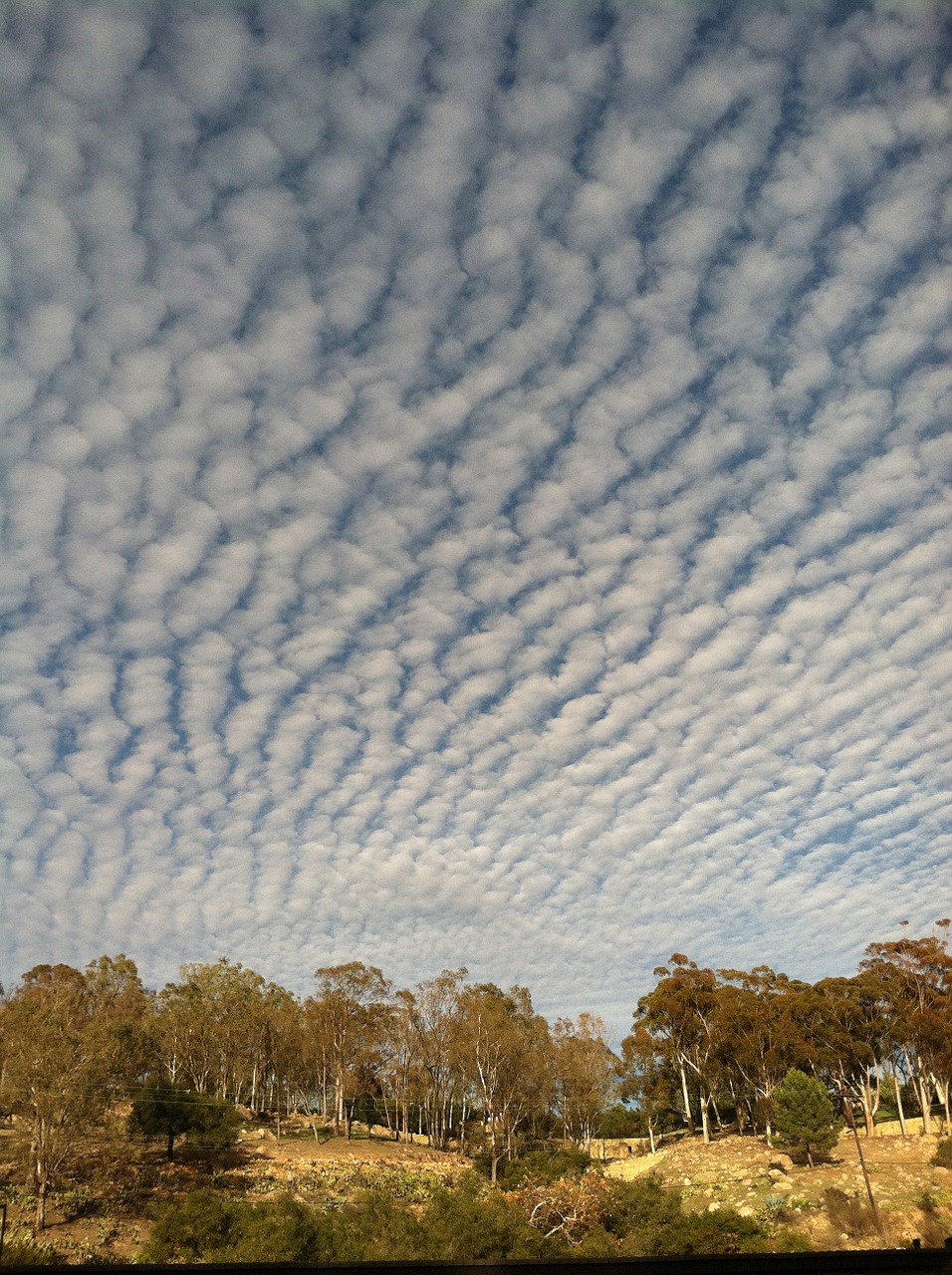 clouds sky weather free photo