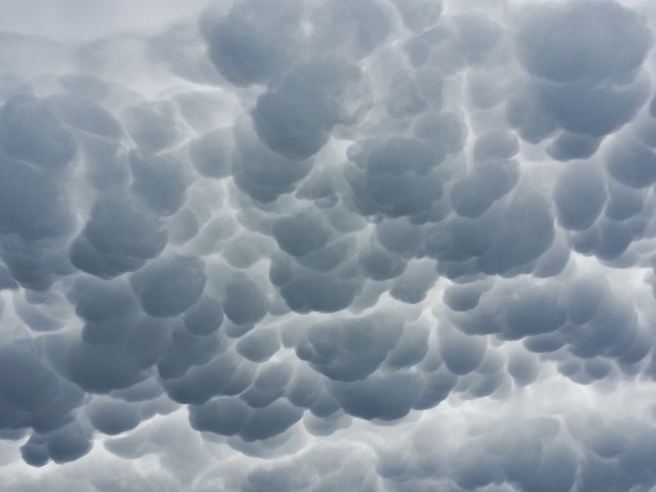 clouds mammatus mammatus cloud free photo