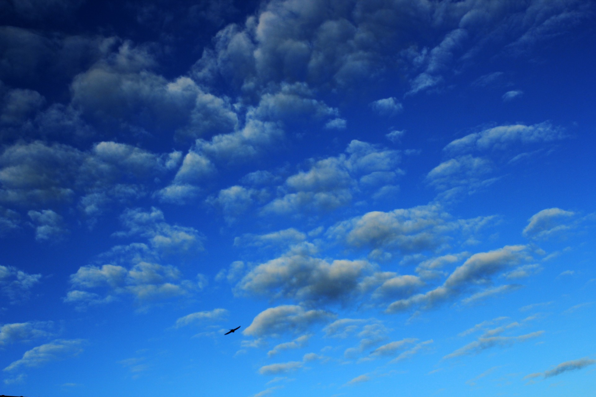 clouds clouds above sky cloudy sky free photo