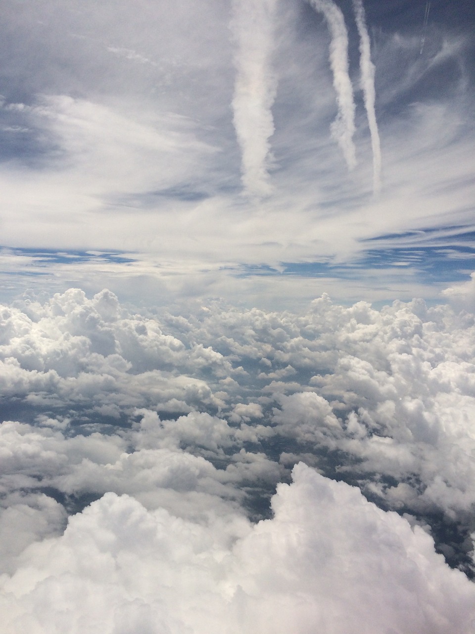 clouds plane sky free photo