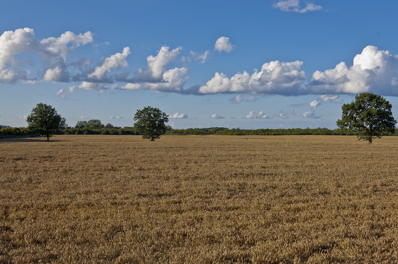 clouds field summer free photo