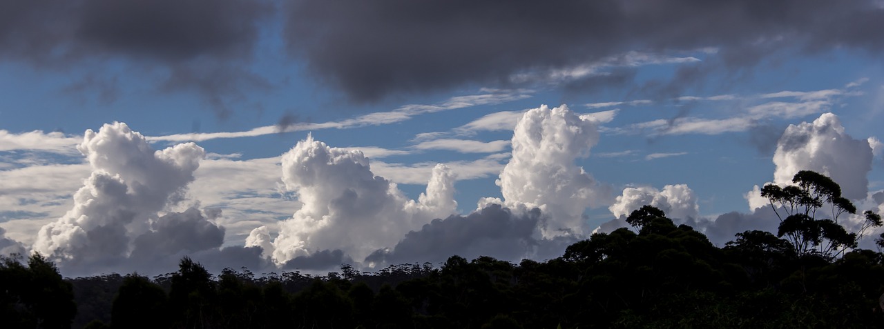 clouds white grey free photo