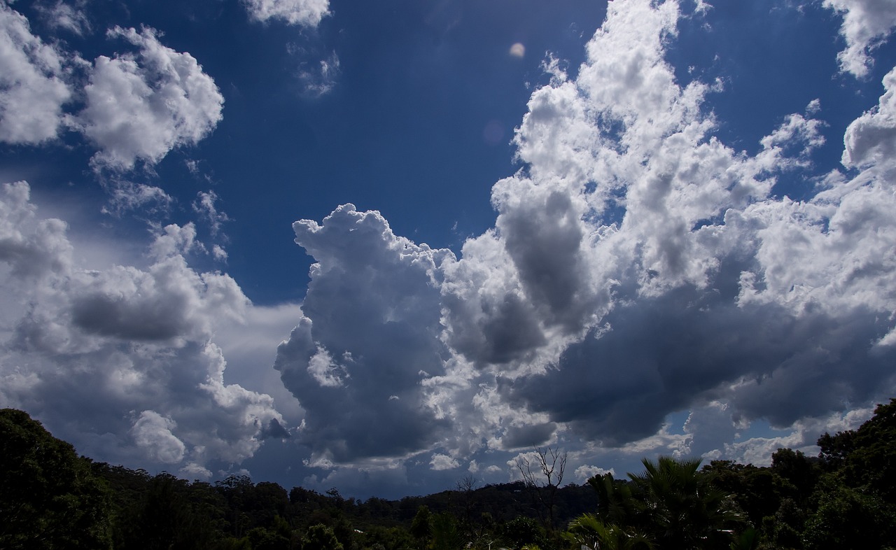 clouds white grey free photo