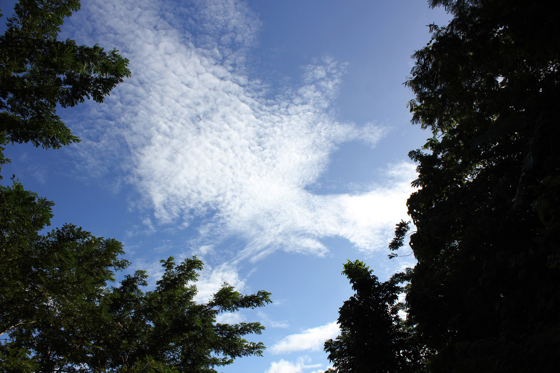 clouds cloudy sky blue sky free photo