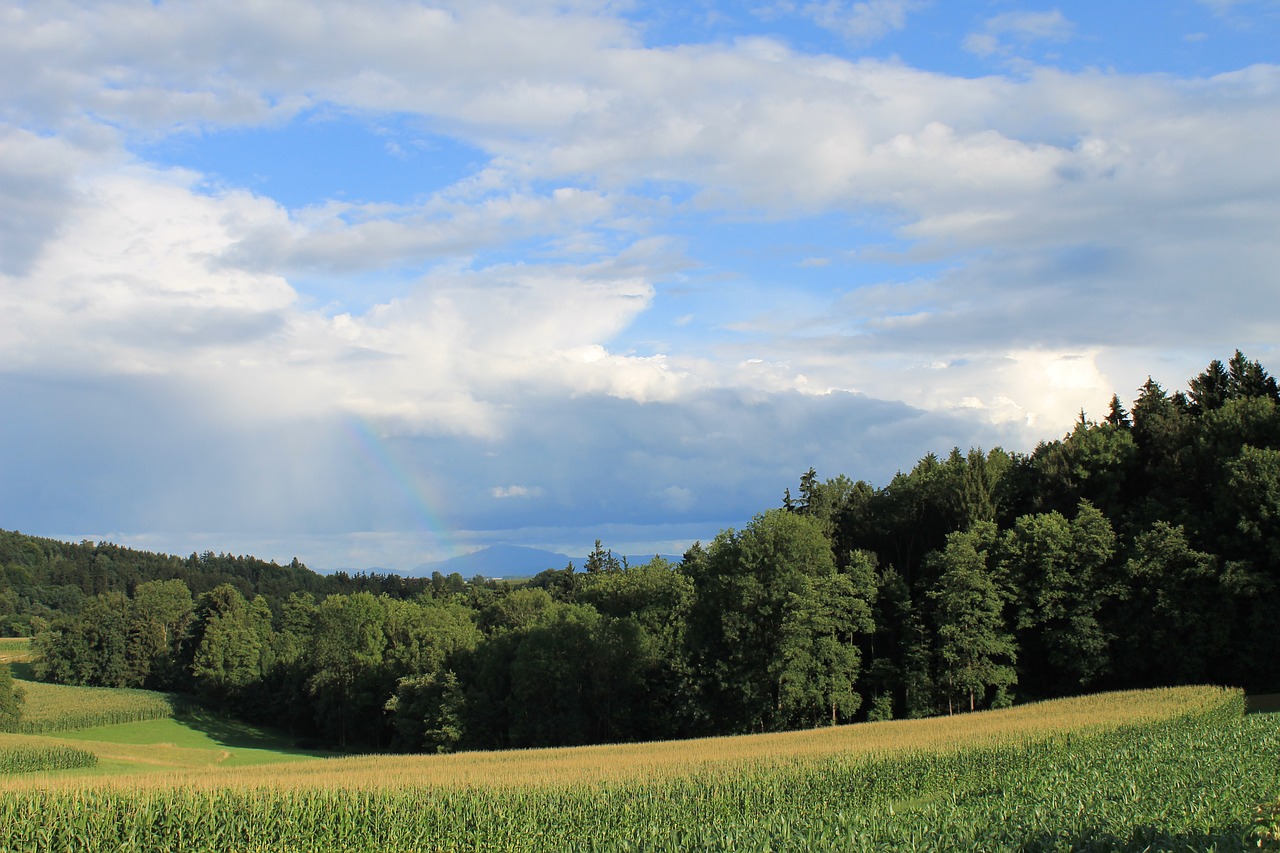 clouds landscape sky free photo