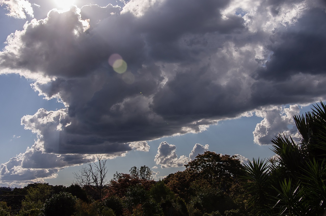 clouds white grey free photo