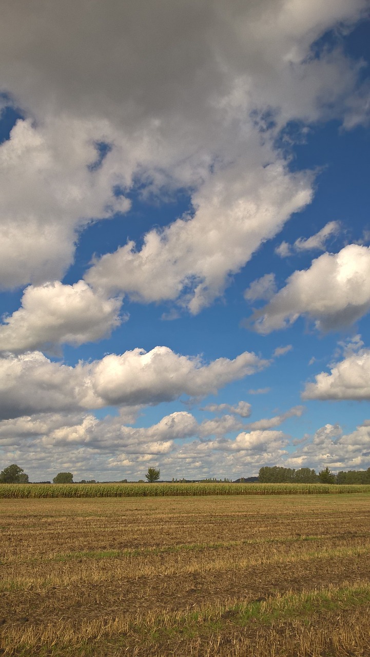 clouds sky blue free photo