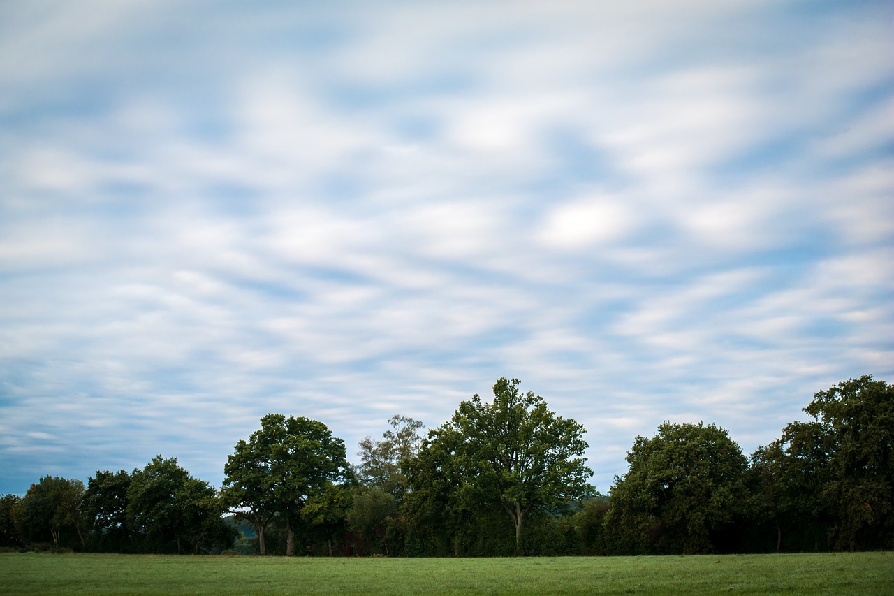 clouds sky forest free photo