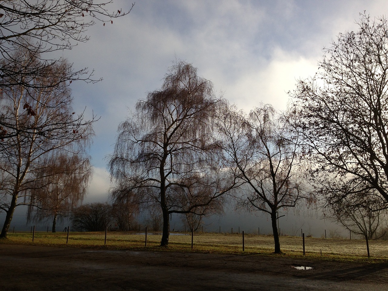 clouds autumn trees free photo