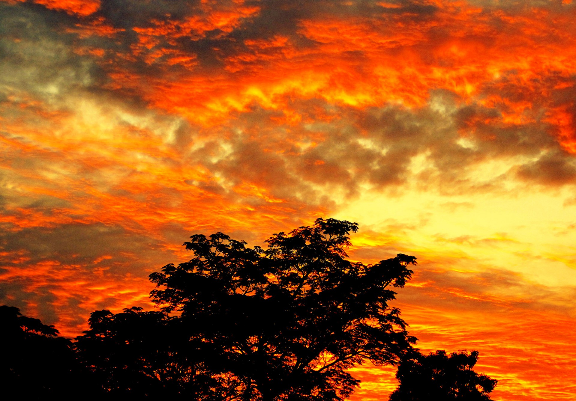 sky sunset vivid free photo