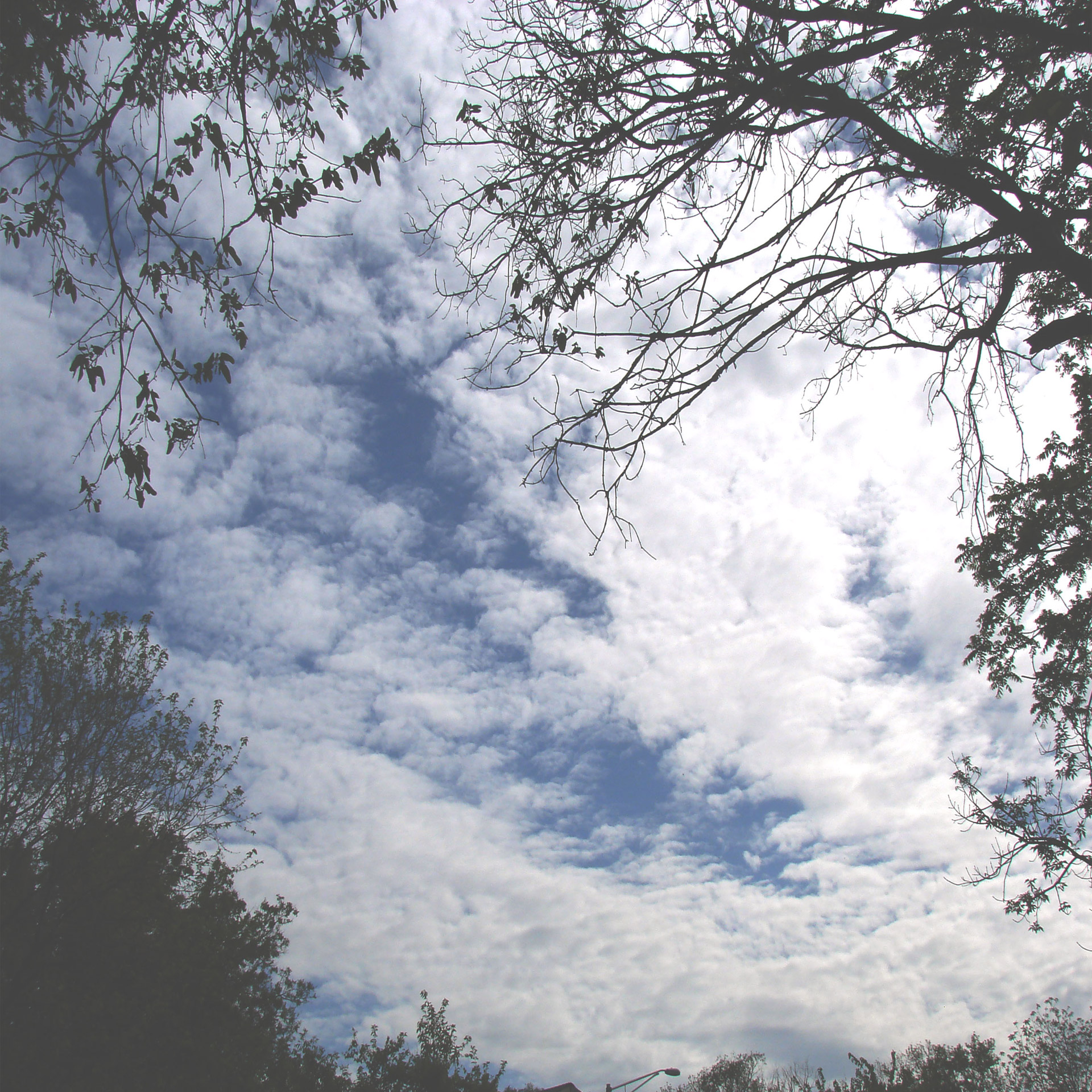 clouds trees nature free photo