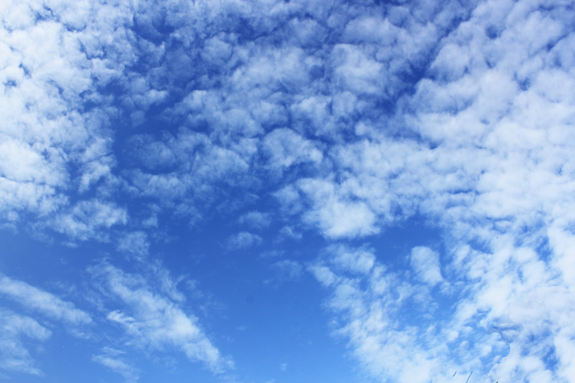 clouds background clouds sky sky free photo