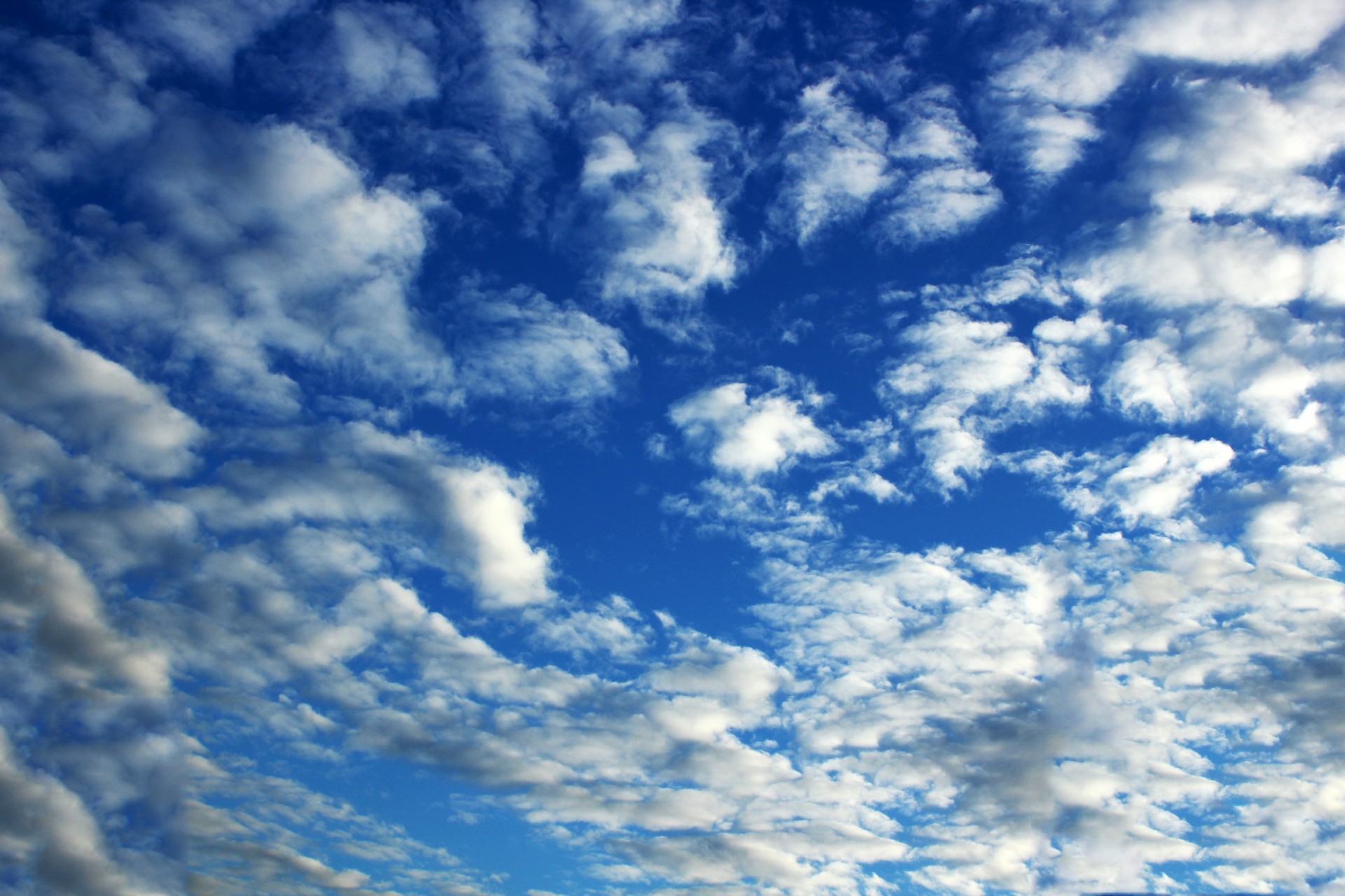 clouds cloudy sky blue sky free photo