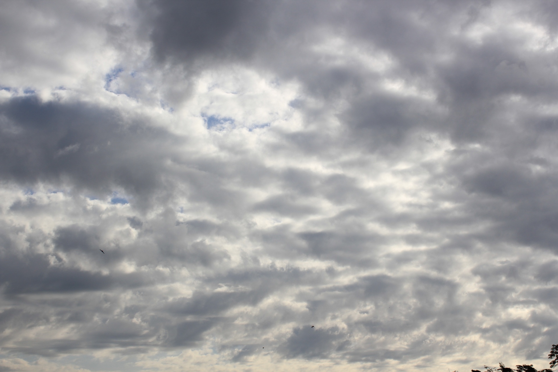 clouds background clouds background free photo