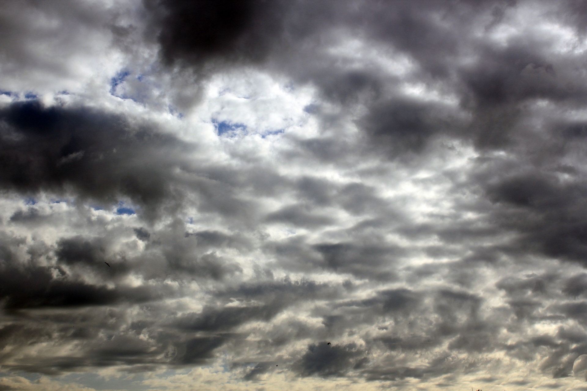 clouds background clouds background free photo