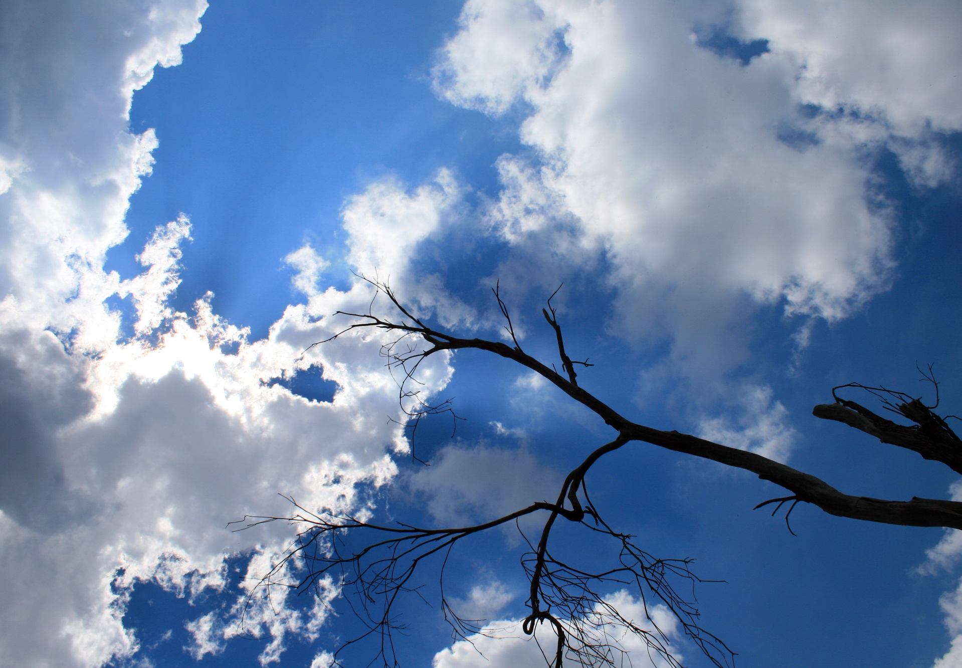 sky clouds shimmering free photo