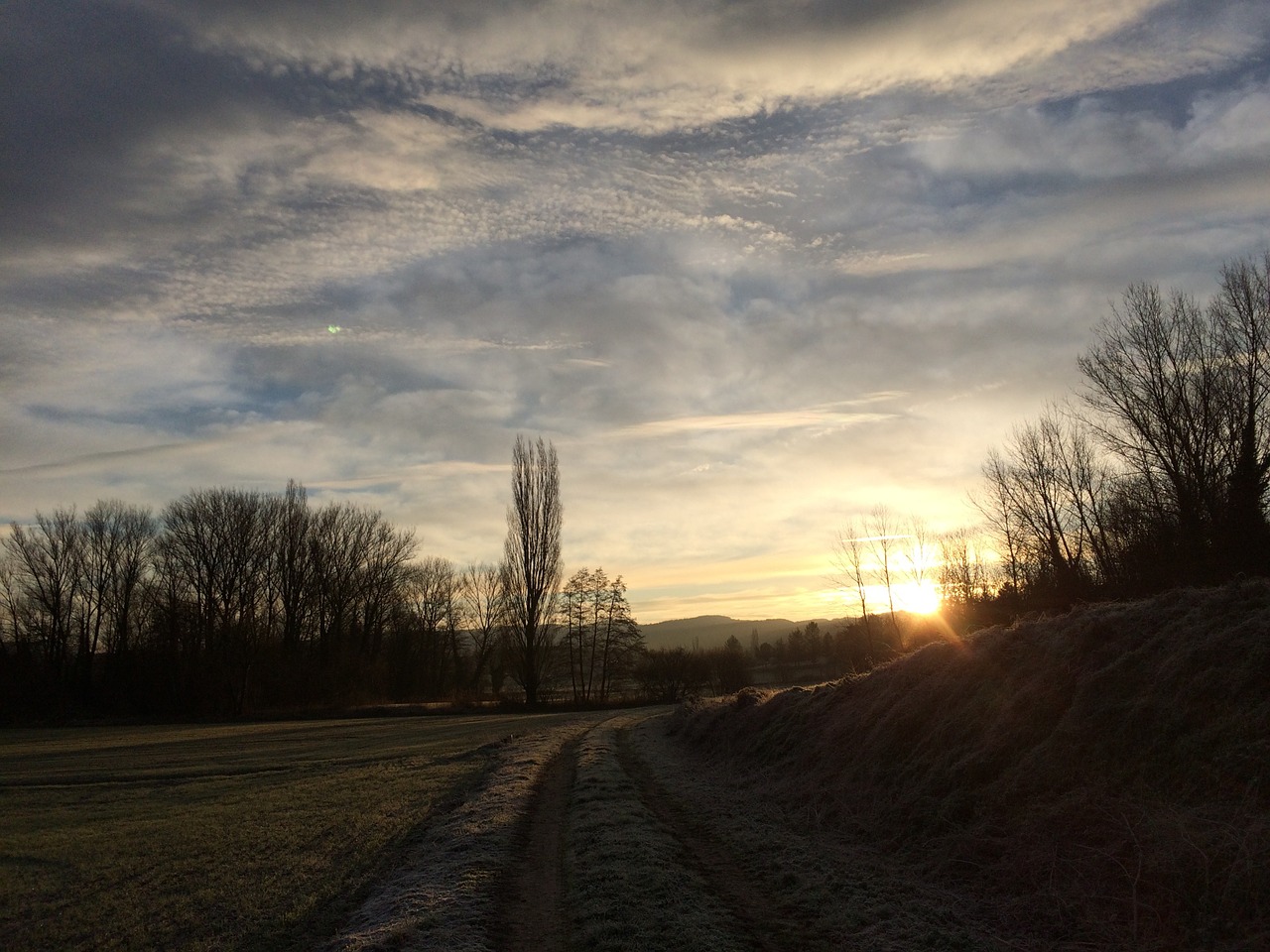 clouds landscape tree landscape free photo