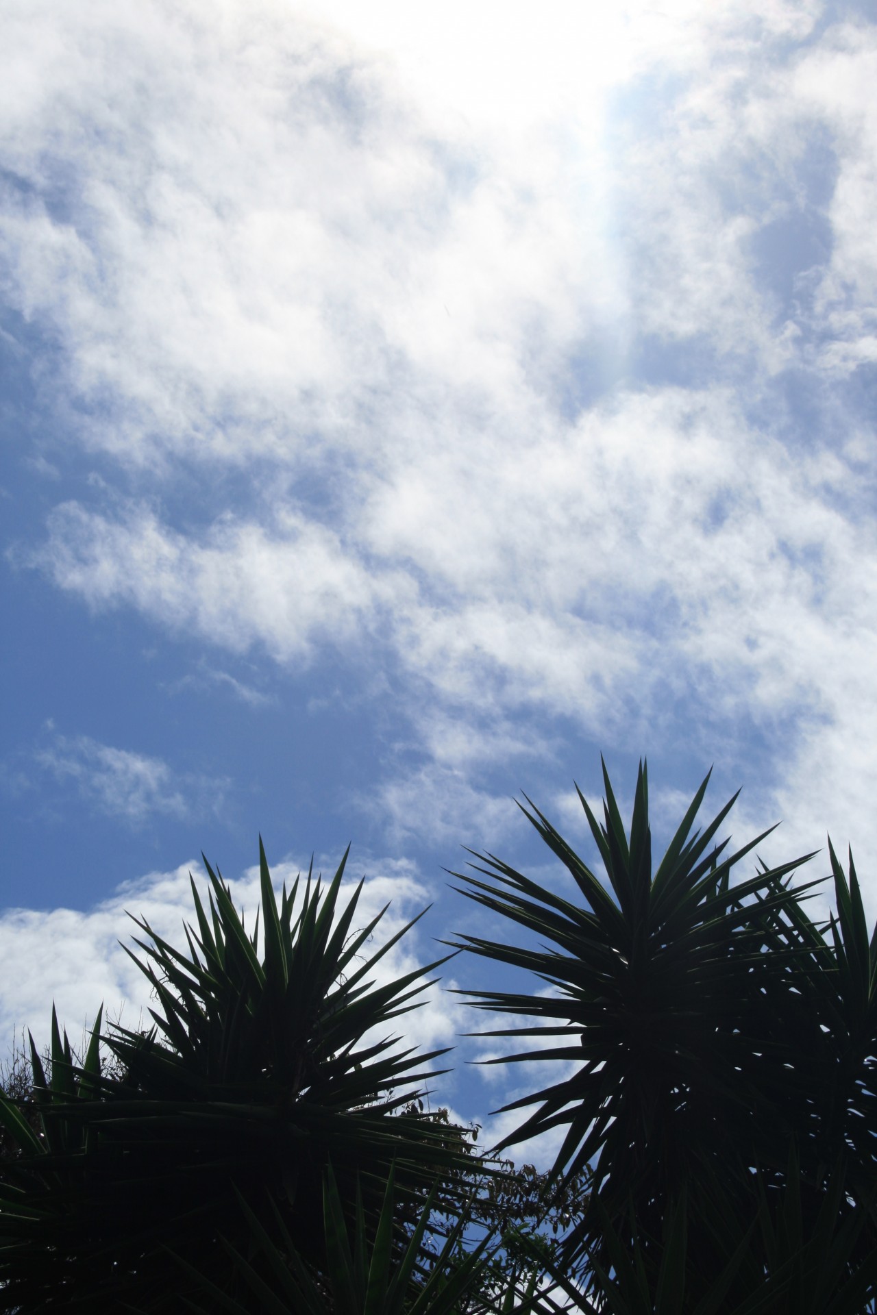 sky blue clouds free photo