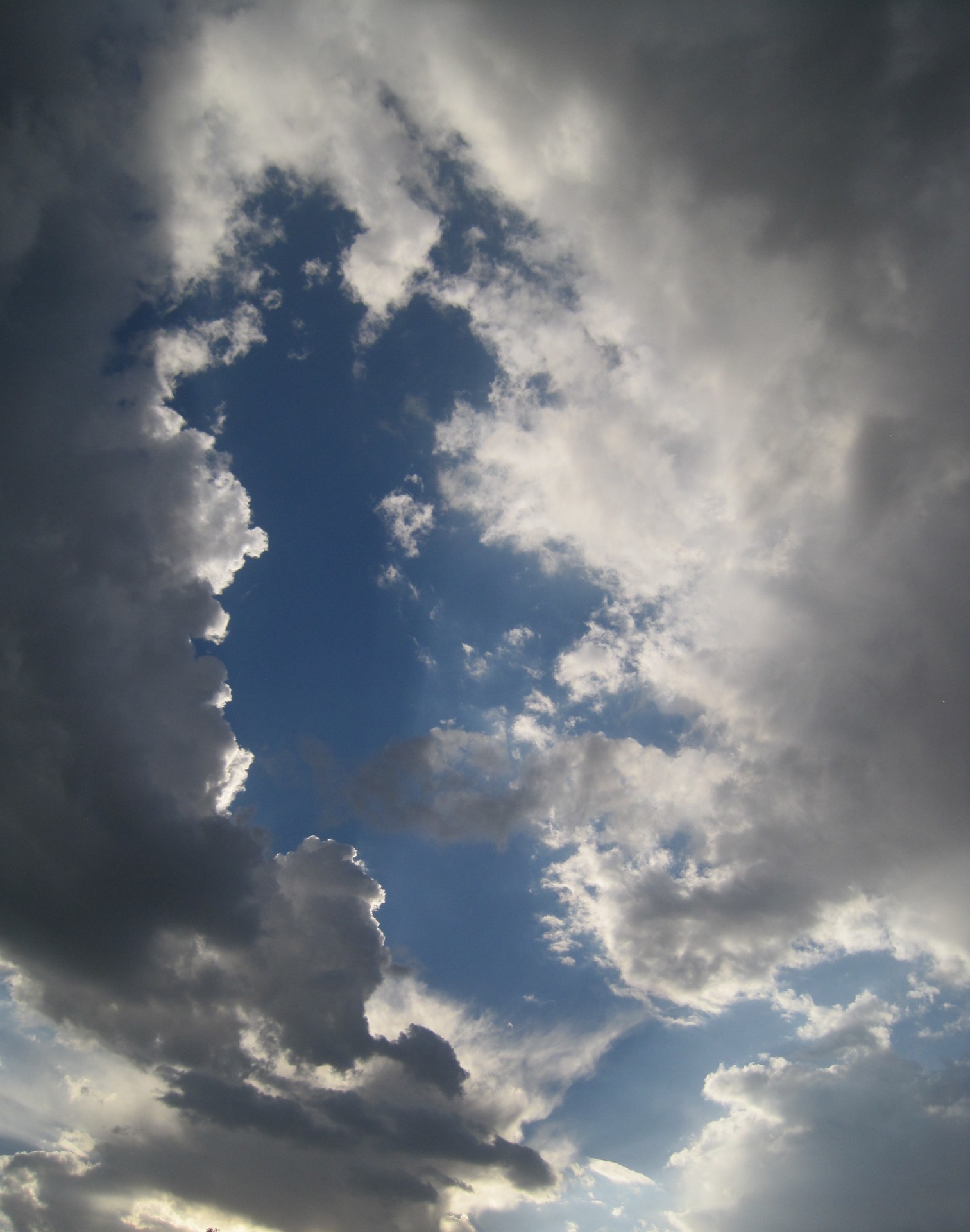 clouds white upright free photo