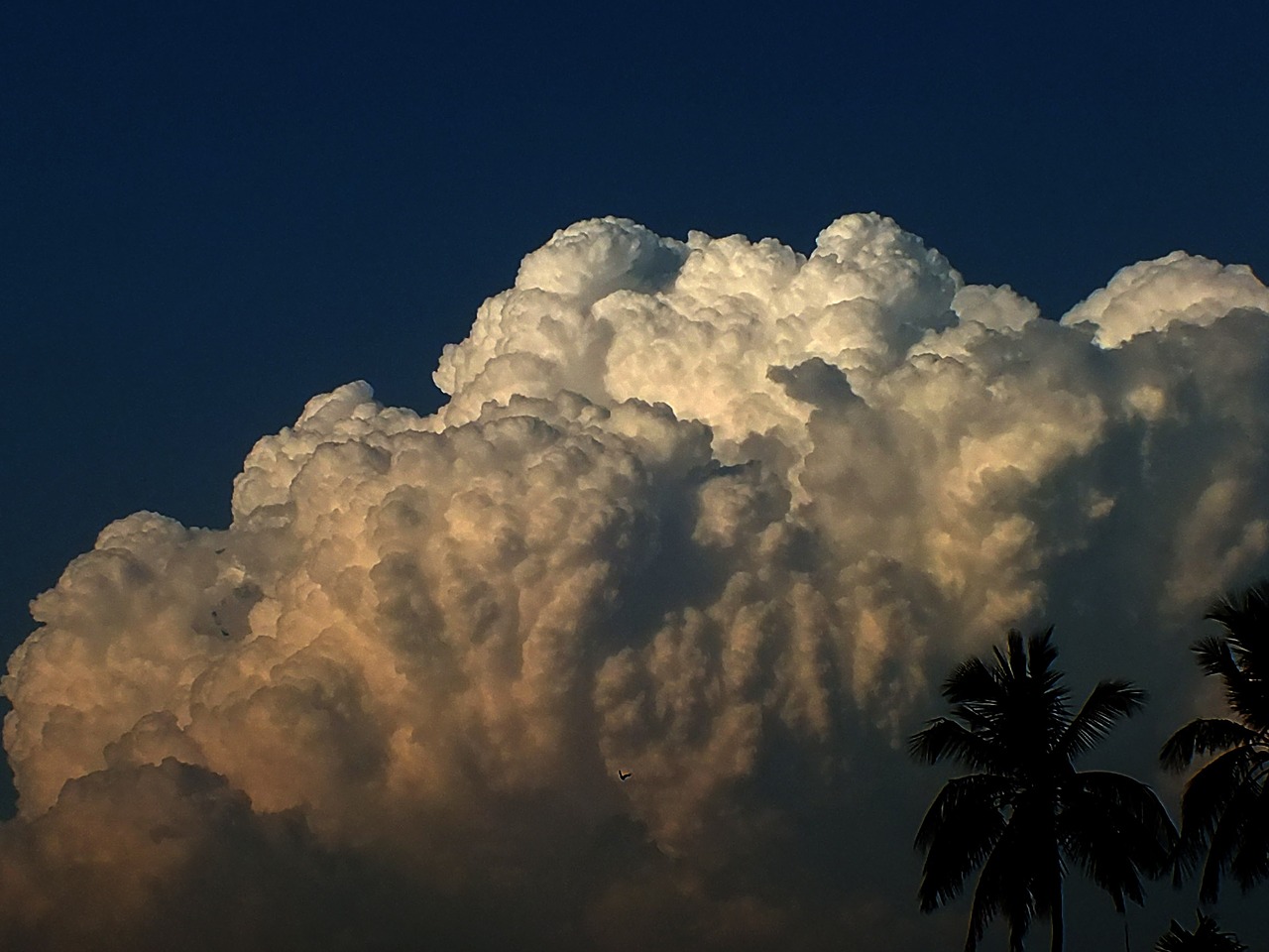 cloudscape from my roof top kolkata free photo