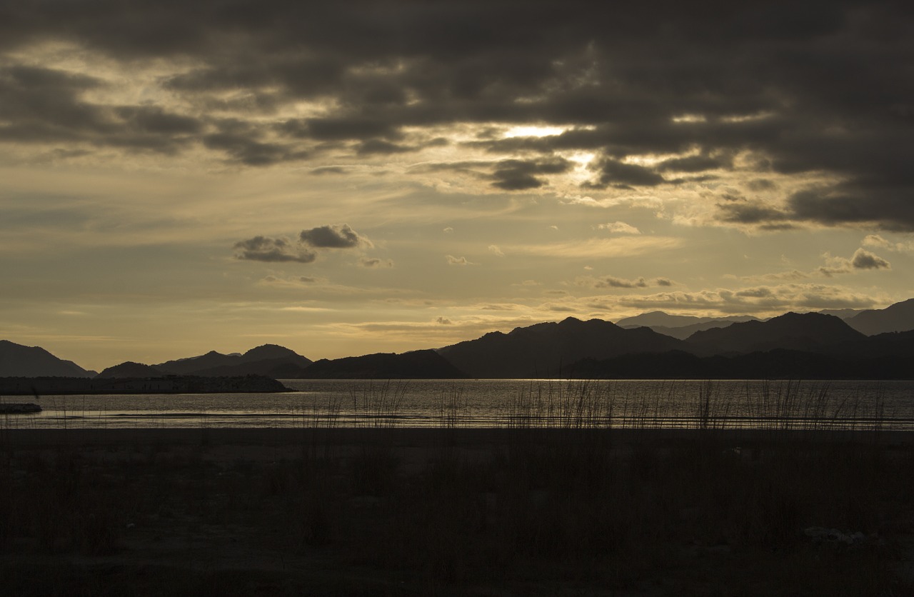 cloudy beach sea free photo