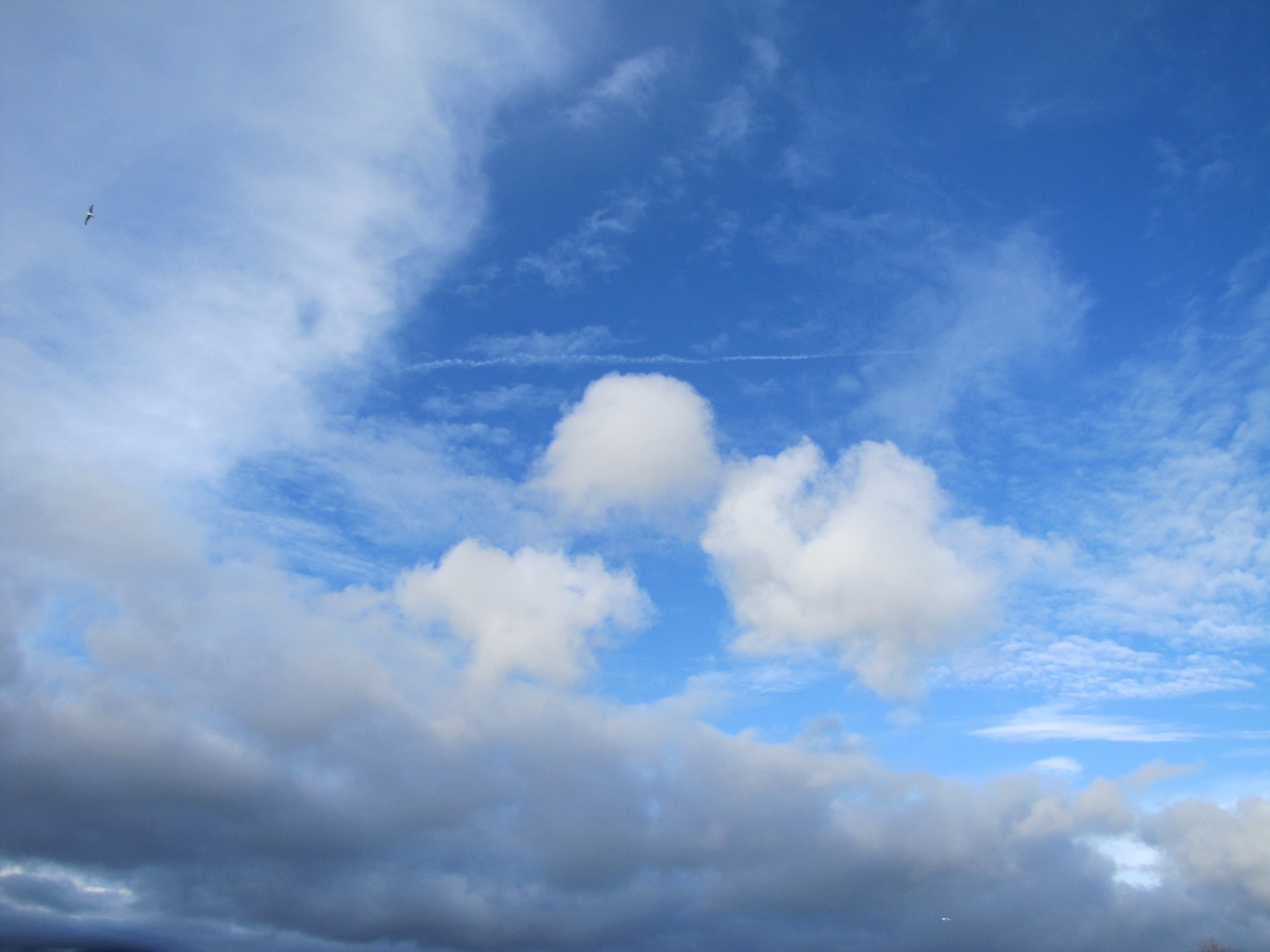 sky blue sky clouds free photo