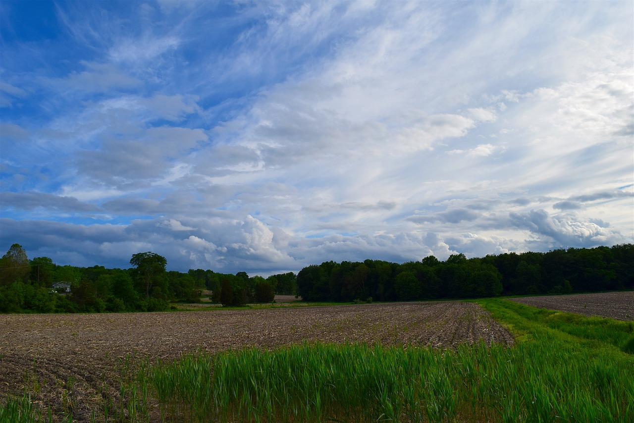 cloudy sky farm field sky free photo