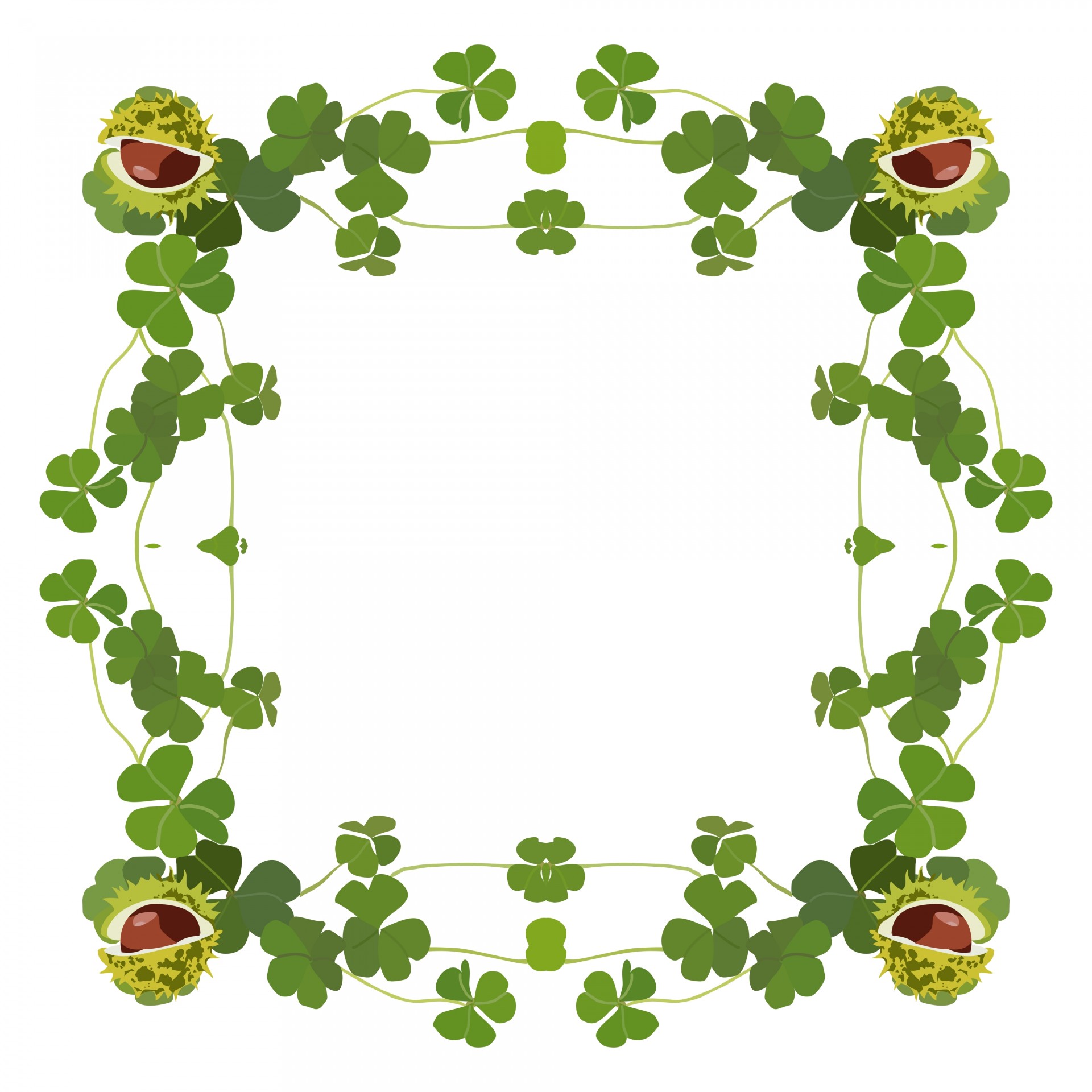 clovers conker frame free photo